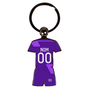 TOULOUSE DOMICILE 2024 2025